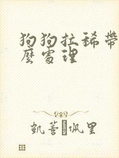 狗狗拉稀带血怎么处理