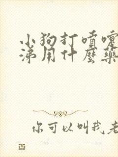 小狗打喷嚏流鼻涕用什么药呢