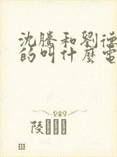 沈腾和刘德华拍的叫什么电影