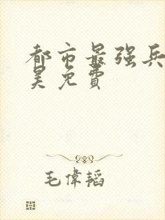 都市最强兵王叶昊免费