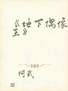 《地下偶像双男主》