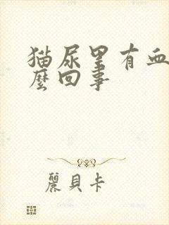 猫尿里有血是怎么回事