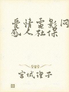 爱情电影网好看感人社保