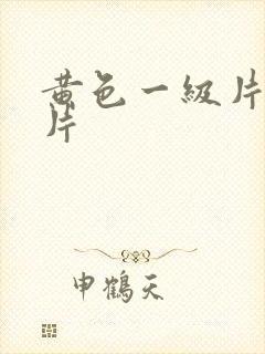 黄色一级片伦理片