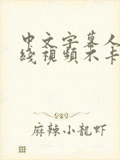 中文字幕人妻在线视频不卡乱码封面