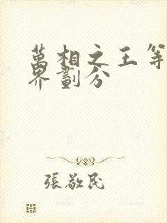 万相之王等级境界划分