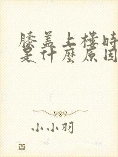 膝盖上楼时疼痛是什么原因封面