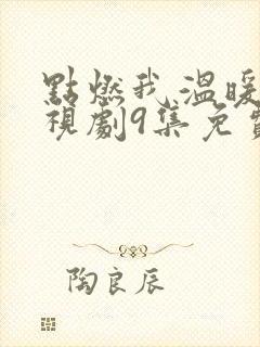 点燃我温暖你电视剧9集免费观看