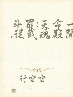 斗罗:天命一族,从武魂殿开始