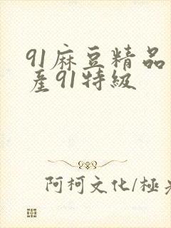 91麻豆精品国产91特级封面
