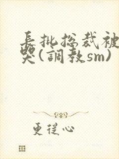 长批总裁被++哭(调教sm)