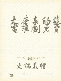 大唐来的苏无名电视剧免费观看全集