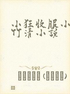 小狂收服小舞朱竹清小说封面