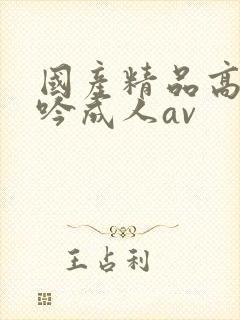 国产精品高潮呻吟成人av