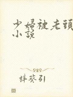 少妇被老头操爽小说
