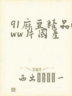 91麻豆精品www片国产封面