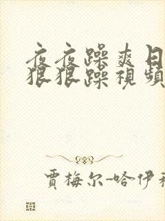 夜夜躁爽日日躁狠狠躁视频