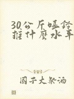 30公斤哑铃卧推什么水平