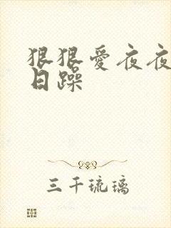 狠狠爱夜夜爽日日躁