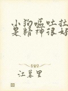 小狗呕吐拉稀但是精神很好