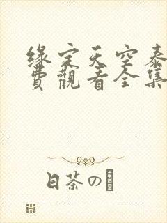 缘定天空泰剧免费观看全集高清