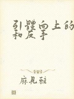 引体向上的正手和反手