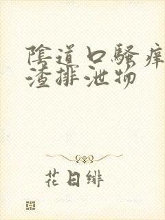 阴道口骚痒豆腐渣排泄物