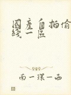 国产自拍偷拍在线一区