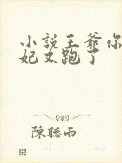 小说王爷你的王妃又跑了