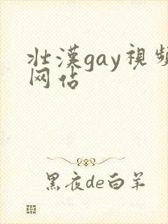 壮汉gay视频网站