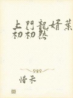 上门龙婿叶辰萧初初然