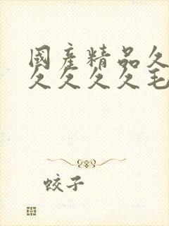 国产精品久久久久久久久毛片