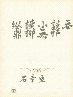 纵横小说吞天神鼎柳无邪