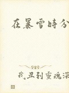 在暴雪时分呢