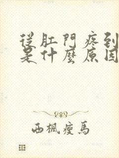 从肛门疼到小腹是什么原因