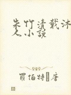 朱竹清戴沐白同人小说