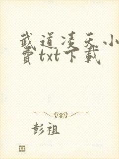 武道凌天小说免费txt下载