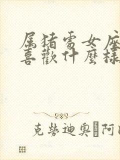 属猪处女座男生喜欢什么样的女生