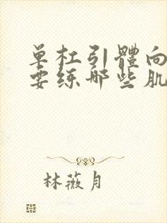 单杠引体向上主要练哪些肌肉封面