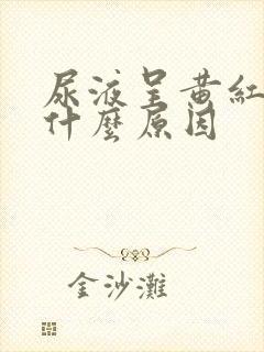 尿液呈黄红色是什么原因