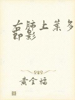 右肺上叶多个结节影