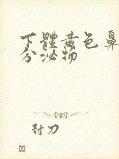 下体黄色鼻涕状分泌物