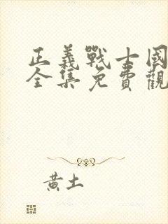 正义战士国语版全集免费观看