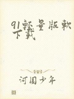 91轻量版软件下载