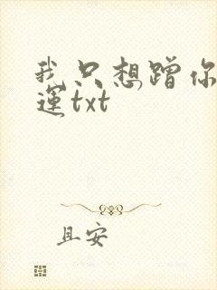我只想蹭你的气运txt封面