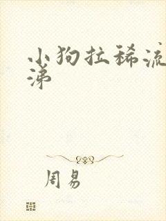 小狗拉稀流黄鼻涕