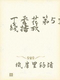 丁香花第5季在线播放