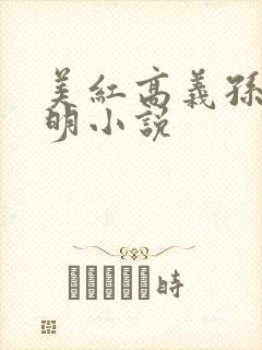 美红高义孙倩家明小说