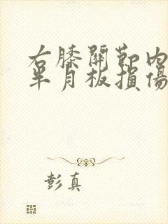 右膝关节内外侧半月板损伤1级