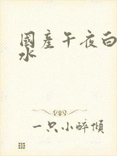 国产午夜白浆喷水